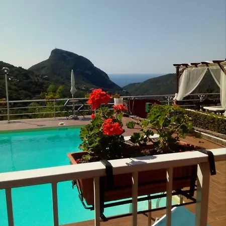 Fernanda * Cava De' Tirreni
